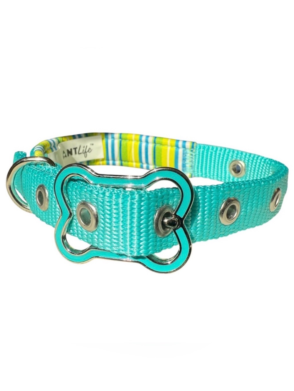NWOT Padded Adjustable Small Teal Blue Green Dog Collar Bone Shape Enamel Buckle